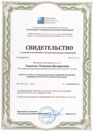 Гильдия кадастровых инженеров Тишкина Т В